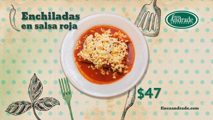 Pantallas restaurante andrade