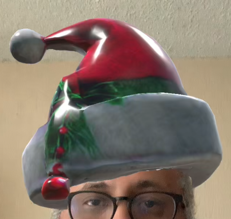 Christmas 3D hat.