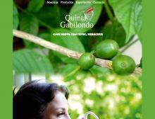 Quinta Gabilondo